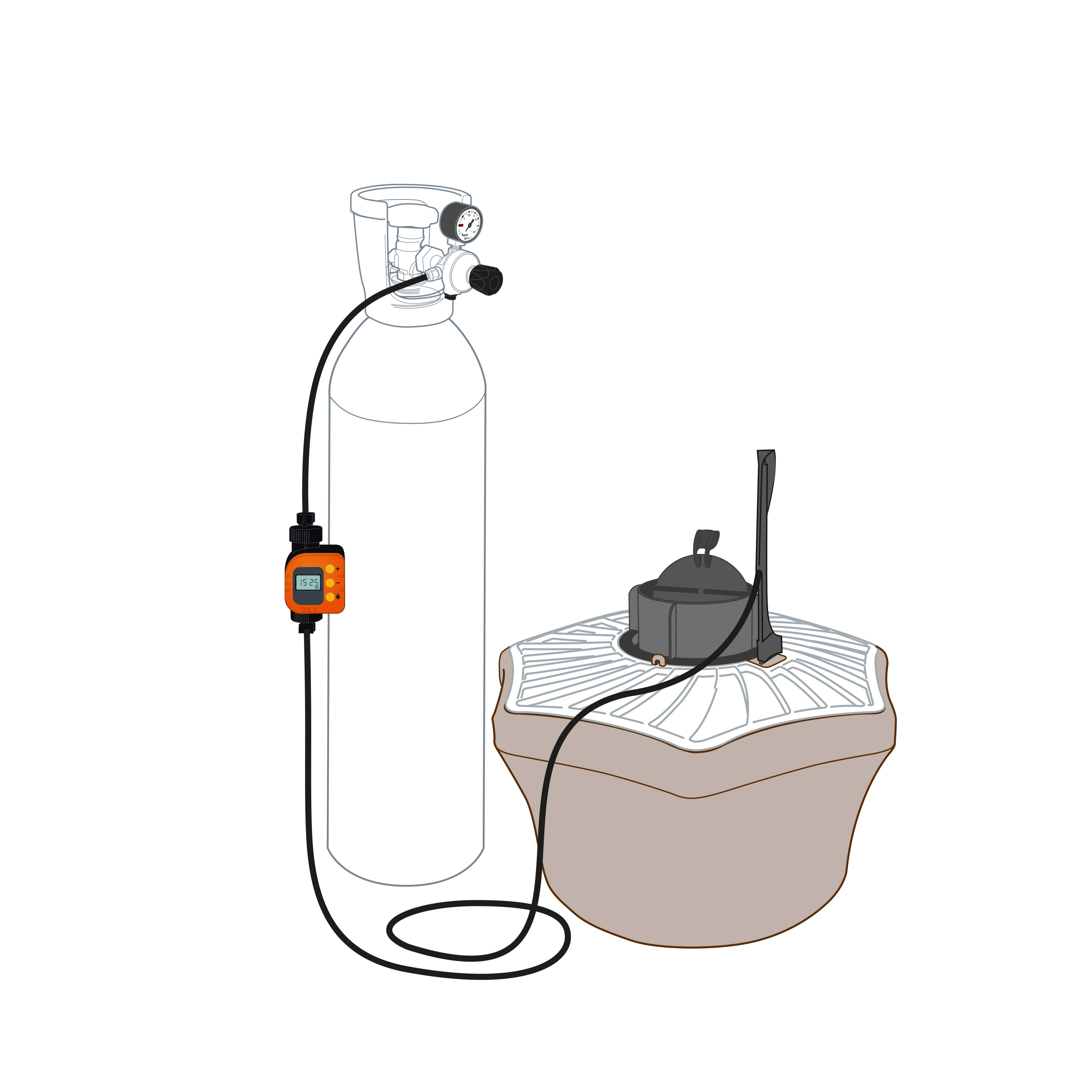BIOGENTS Timer pour Programmer et Réguler La Diffusion du CO2 BG-Timer